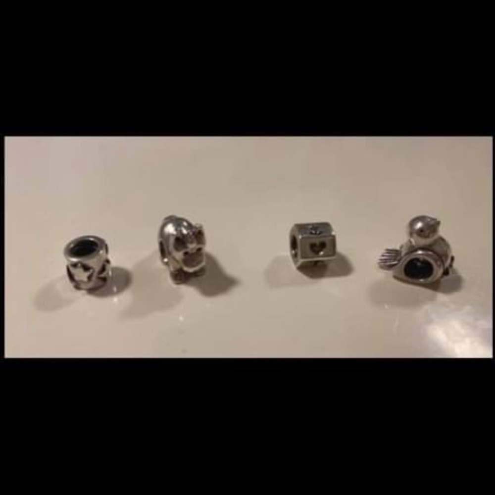 Pandora Charms